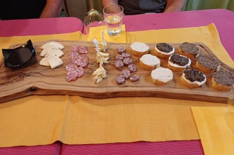 6-Hour Truffle Hunting Tour in Istria with Motovun Tasting