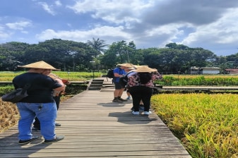 7-Hour Bogor Nature Tour with Botanical Garden and Rice Terraces