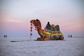 6-Day Gujarat Heritage Tour with Kutch Villages and Palitana