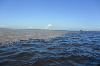 3-Day Amazon Jungle Adventure from Manaus with Lodge Stay