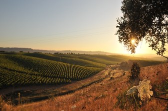 10-Hour Évora Sightseeing Tour from Lisbon with Wine Tasting