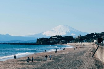 8-Hour Enoshima and Shonan Coast Tour from Tokyo with Flex Time
