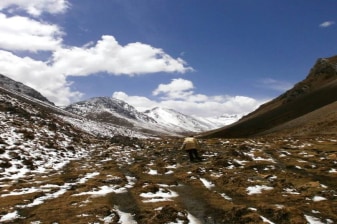 10-Day Jomolhari Trek in Bhutan with Tiger's Nest and Thimphu