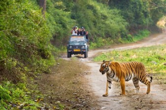 3-Day Haridwar Rishikesh and Jim Corbett Tour with Ganga Aarti