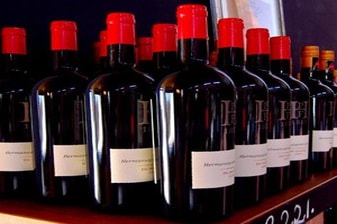 Full-Day Cape Town Wine Tasting Tour with 255 Wine Estates