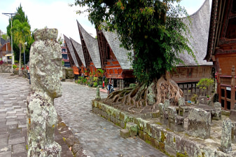 7-Day Sumatra Adventure with Bukitlawang Trek and Lake Toba
