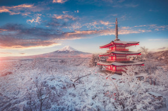 10-Hour Mount Fuji Private Tour from Tokyo with Fuji Five Lakes