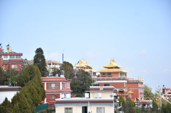 1-Month Buddhist Monastery Retreat in Kathmandu or Lumbini