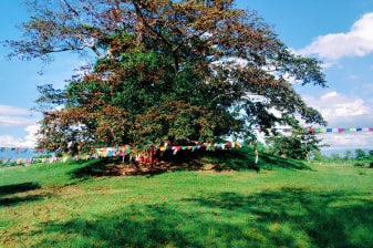 5-Day Lumbini and Ramagram Tour from Kathmandu with Tilaurakot