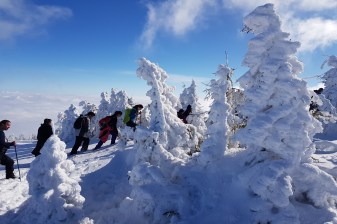 1-Day Vlădeasa Peak Hiking Tour from Cluj-Napoca with Mountain Views