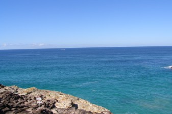 7-Hour North Stradbroke Island Eco Tour with Beach BBQ and Wildlife