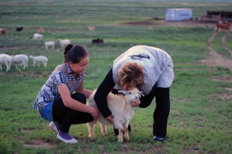 7-Day Nomadic Adventure in Mongolia with Local Families
