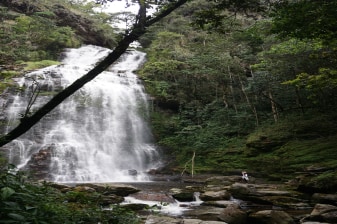 Tour de 3 horas a Los Tucanes con cascadas y senderos ecológicos