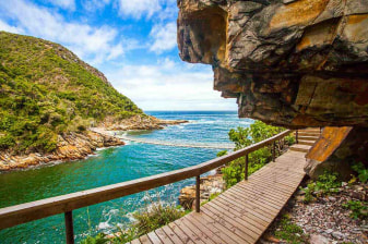 11-Day Durban to Cape Town Tour with Addo Safari and Garden Route