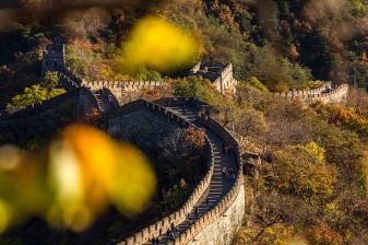 13-Day China Sightseeing Tour from Beijing to Shanghai with Pandas