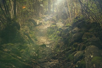 5-Day Jungle Trek to Renah Kemumu from Sungai Penuh with Hot Springs