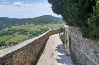 8-Hour Istria Tour to Rovinj, Motovun and Poreč with Lim Fjord