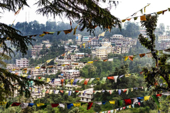 3-Day Dharamshala Tour with McLeod Ganj and Triund Option