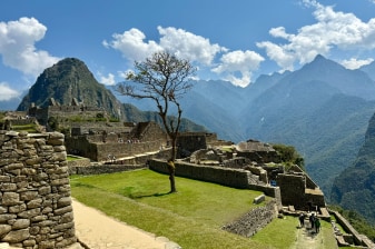 1-Day Machu Picchu Train Tour from Cusco with Guided Citadel Visit