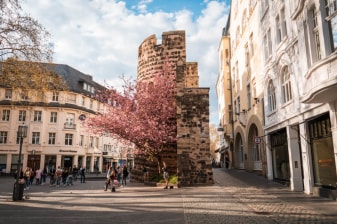 5-Hour Bonn City Tour from Cologne by Train with Private Guide