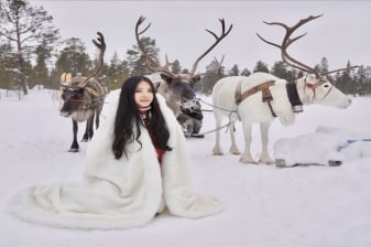 3-Day Murmansk Arctic Tour with Aurora Hunts and Teriberka