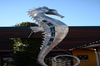 9-Hour Knysna Highlights Tour with Elephant Park and River Cruise