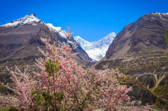 10-Day North Pakistan Tour with Hunza, Khunjarab Pass and Fairy Meadows