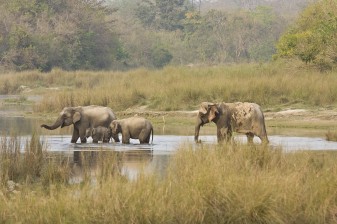 3-Day Bardia National Park Safari with Karnali River from Kathmandu