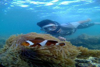 6-Hour White Sand Island Tour in Bintan with Snorkeling and Kayaking