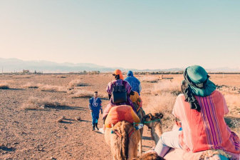 1-Day Draa Valley Tour from Tamnougalt with Tinfo and Tamegroute