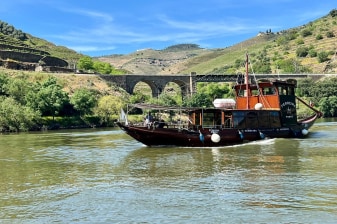 10-Hour Douro Valley Food and Wine Tour from Porto with Rabelo Cruise