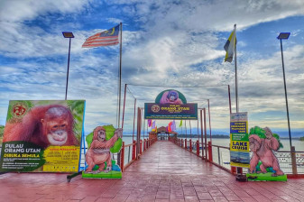 5-Hour Orang Utan Island Tour from Penang with Conservation Visit