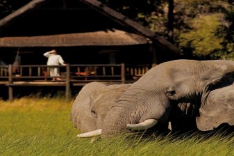 16-Day Botswana and Victoria Falls Safari from Johannesburg