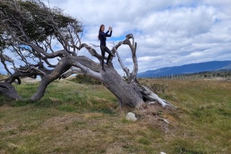 6-Hour Spider Crab Route Tour from Ushuaia with Puerto Almanza Lunch