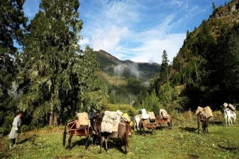12-Day Bhutan Cultural Tour with Tiger's Nest and Bumthang Trek