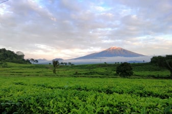 5-Day Mount Kerinci Trek from Bali with Summit Overnight