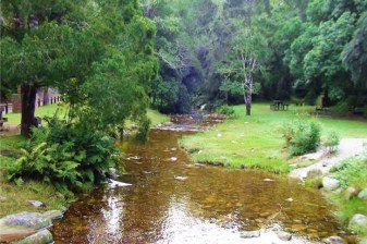 3-Hour Millwood Forest Tour in Knysna with Wildlife Discovery