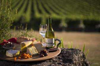 1-Day Yarra Valley Wine and Food Tour with Premium Winery Tastings