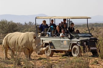 9-Hour Big 5 Safari in Aquila from Cape Town with Open-Air Game Drive