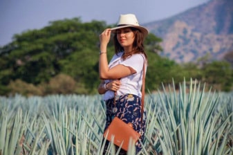 8-Hour Tequila Tour in Tequila with Casa Sauza and Casa Herradura