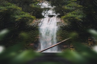 4-Day Jungle Trek in Berau and Muara Wahau with Borneo Waterfall