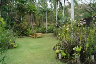 5 Hour Tour to Nadi Highlights