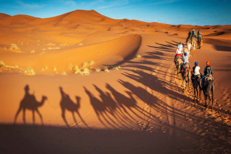 2-Day Zagora Desert Tour from Marrakech with Camel Camp Stay