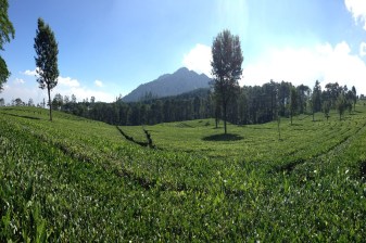 3-Hour Bandung City Tour with Floating Market and Saung Udjo