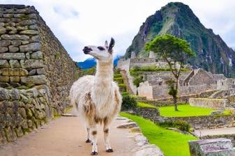 8-Day Peru Tour from Titicaca to Machu Picchu by Scenic Train