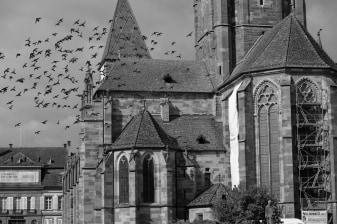 2-Hour Walking Tour of Eibingen Abbey and Saint Hildegard Heritage