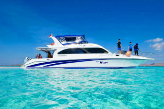 6-Hour Komodo National Park Fastboat Tour with Padar and Pink Beach