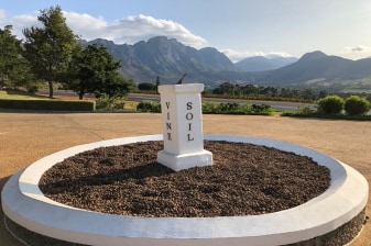 8-Hour Cape Winelands Wine Tour with 3 Estate Tastings and Lunch