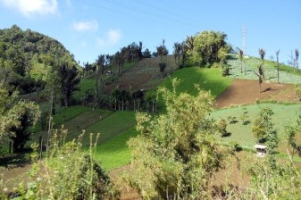 3-Day Bunaken and Manado Tour with Tomohon and Mount Mahawu