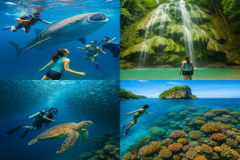 1-Day Whale Shark and Moalboal Snorkelling Tour in Cebu